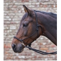 Waldhausen Knotted Rope Halter & Reins